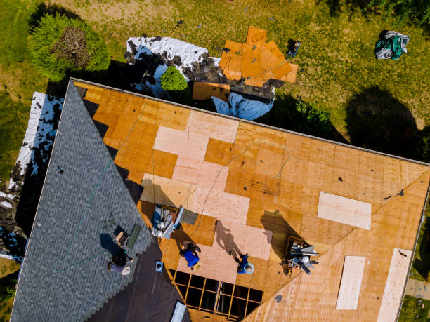 Best Roof Maintenance Services  in Temelec, CA