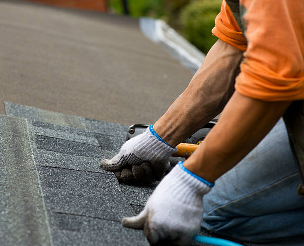 Best Roof Repair Services  in Temelec, CA